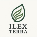 Ilex terra