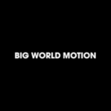 Big World Motion
