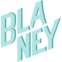 BLANEY GROUP LLC