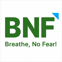 BNF Consulting Inc
