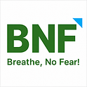 BNF Consulting Inc