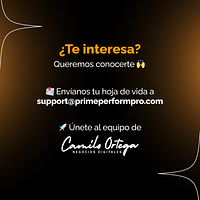 CAMILO ORTEGA NEGOCIOS DIGITALES LL