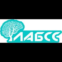 LABSS LLC