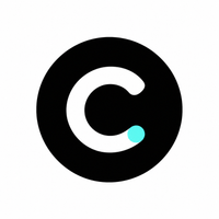 THE CLEARPOINT AI