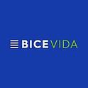 BICE VIDA